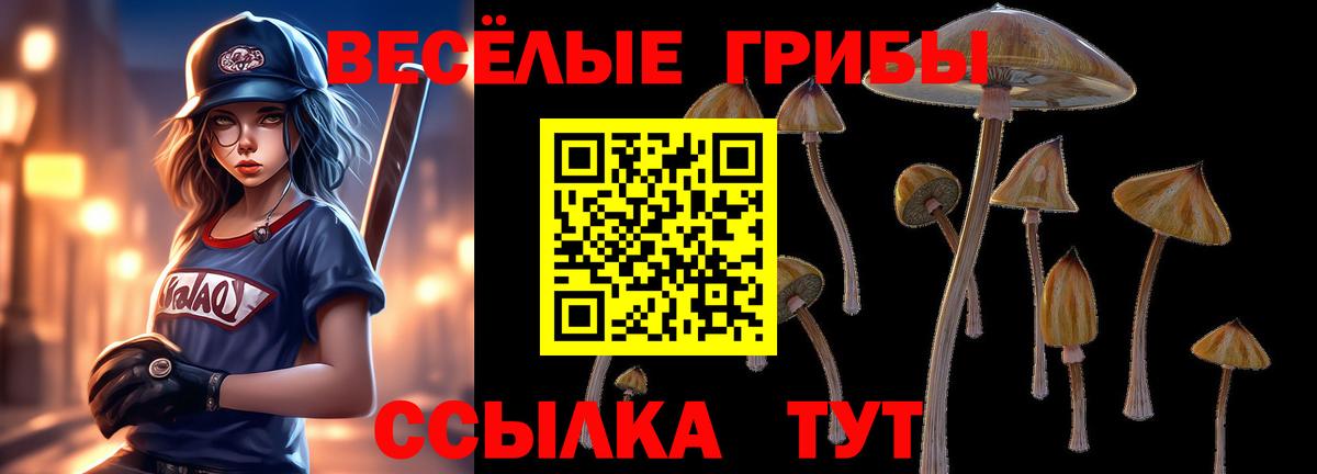 как найти   Псилоцибиновые грибы мицелий  Вход с VPN  Кубинка 